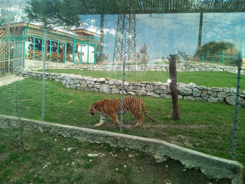 Зоопарк в таганроге